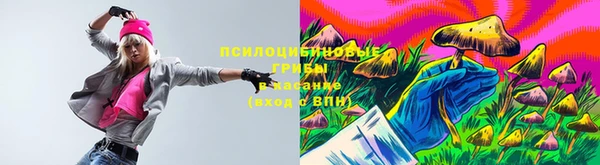 гашик Новозыбков