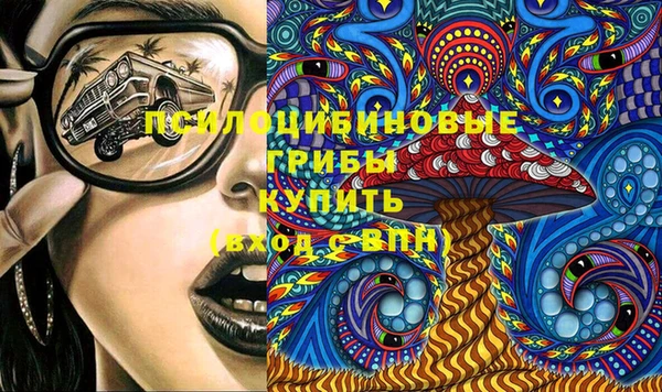 гашик Новозыбков