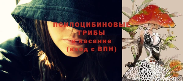 гашик Новозыбков