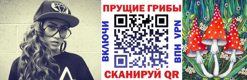 Галлюциногенные грибы мицелий  сколько стоит  Кинешма 