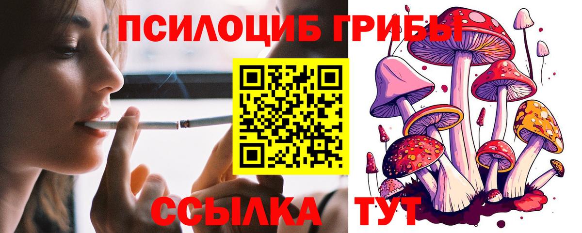Галлюциногенные грибы Magic Shrooms  Вход с VPN  хочу наркоту  Кинешма  Галлюциногенные грибы прущие грибы 