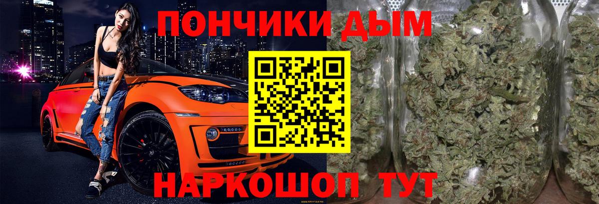 Бошки Шишки VHQ Кинешма